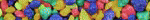 Rainbow fish gravel